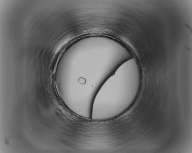 X0000103481067200809120923