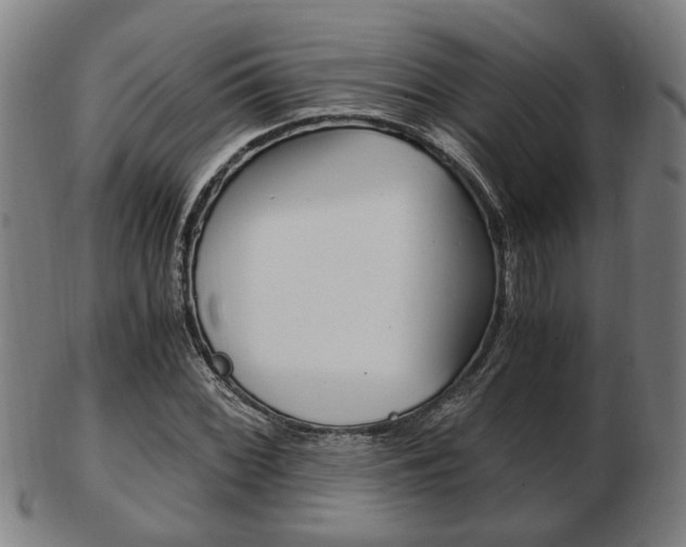 X0000103481068200809120923