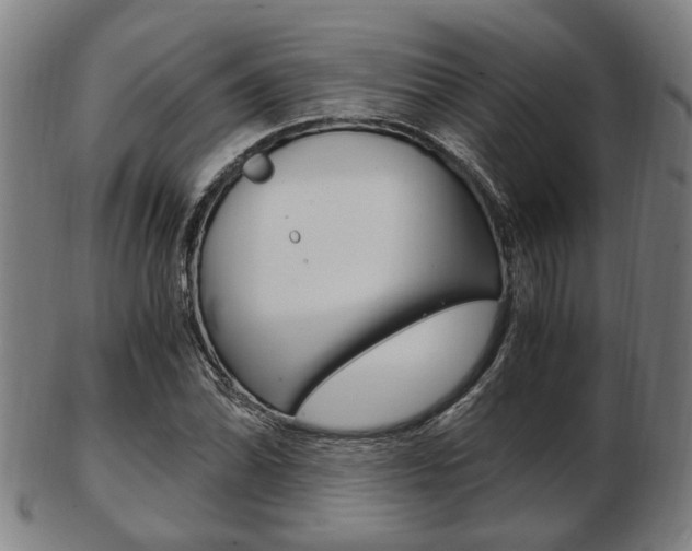 X0000103481070200809120923
