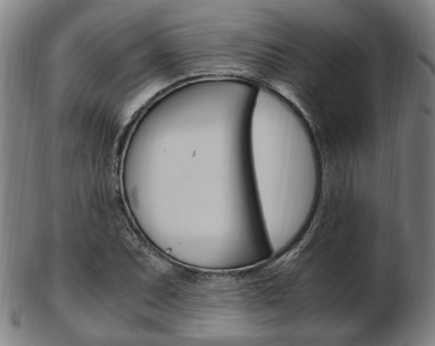 X0000103481071200809120923