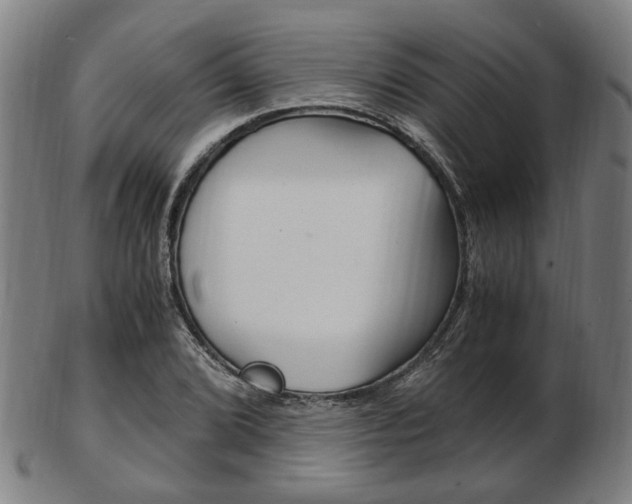 X0000103481072200809120923
