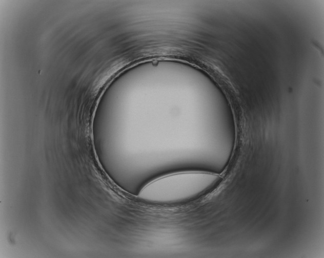 X0000103481073200809120923