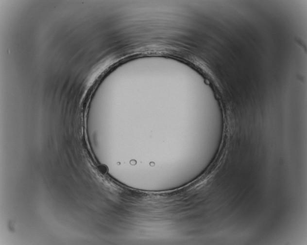 X0000103481075200809120923