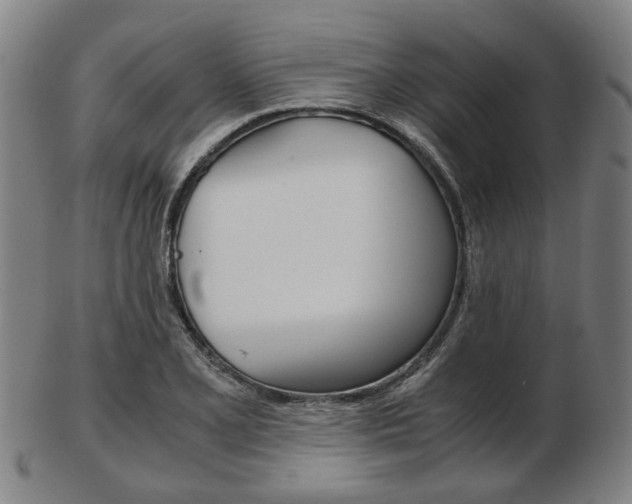X0000103481077200809120923