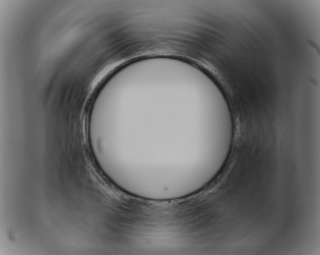 X0000103481078200809120923