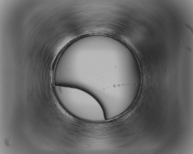 X0000103481079200809120923