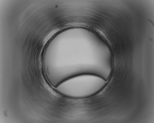 X0000103481082200809120923