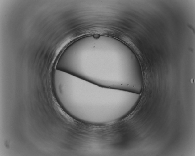 X0000103481083200809120923