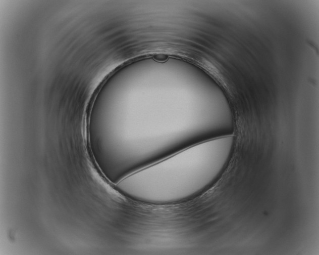 X0000103481084200809120923