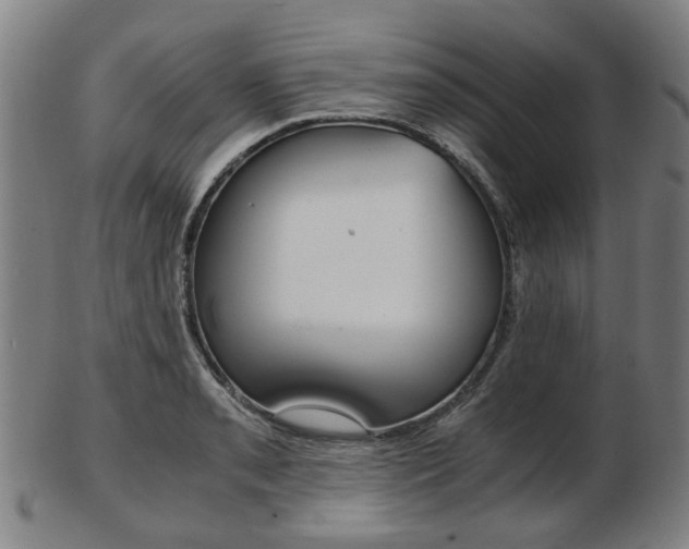 X0000103481085200809120923