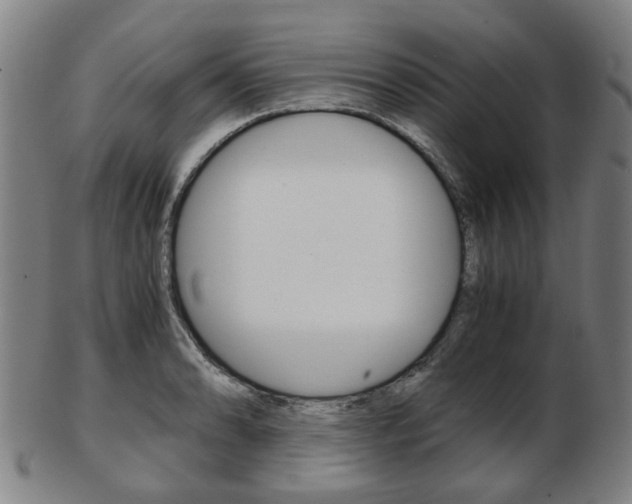 X0000103481086200809120923