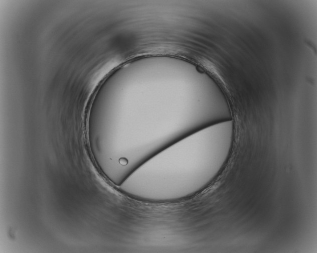 X0000103481087200809120923