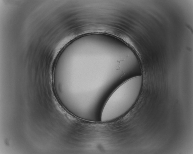 X0000103481088200809120923