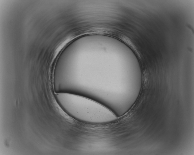 X0000103481091200809120923