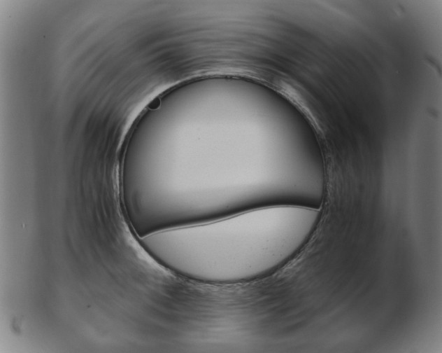 X0000103481092200809120923