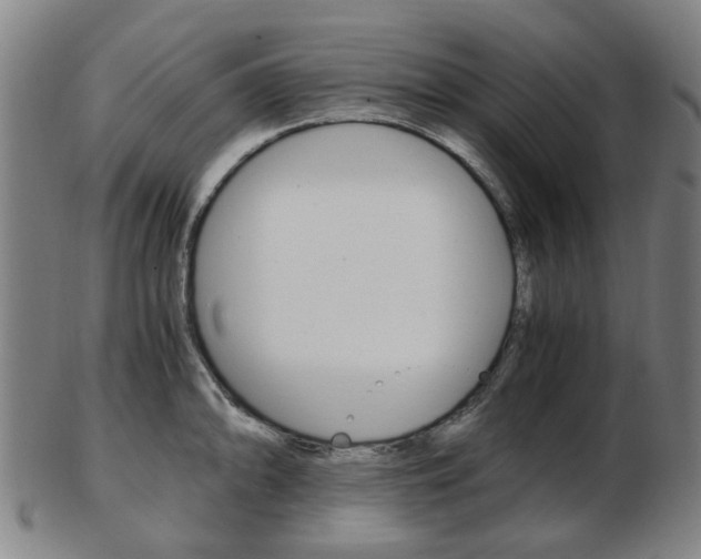 X0000103481094200809120922