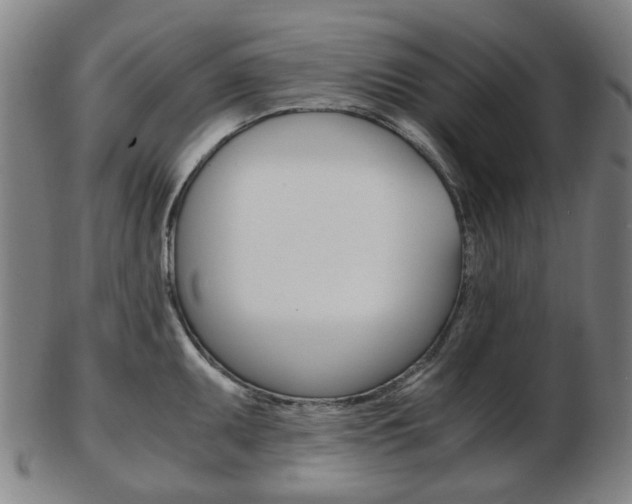 X0000103481095200809120922