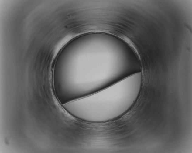 X0000103481096200809120922