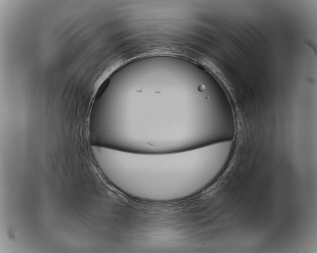 X0000103481097200809120922