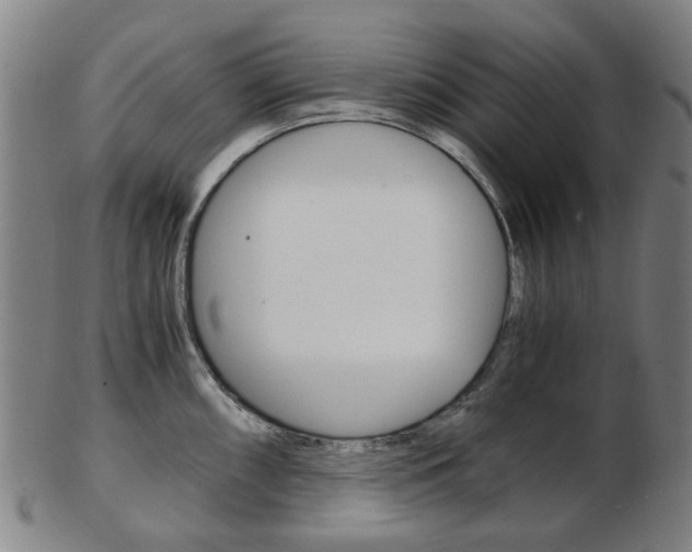 X0000103481098200809120922