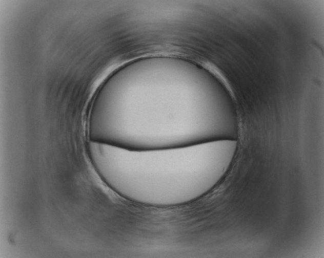 X0000103481099200809120922