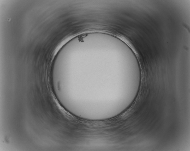X0000103481101200809120922