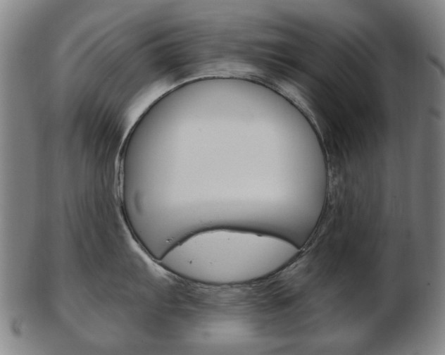X0000103481103200809120922