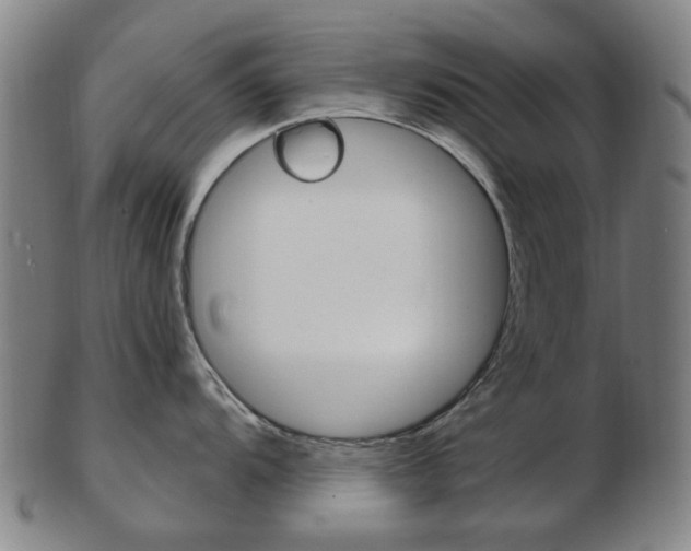 X0000103481104200809120922