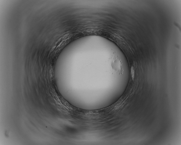 X0000103481107200809120922