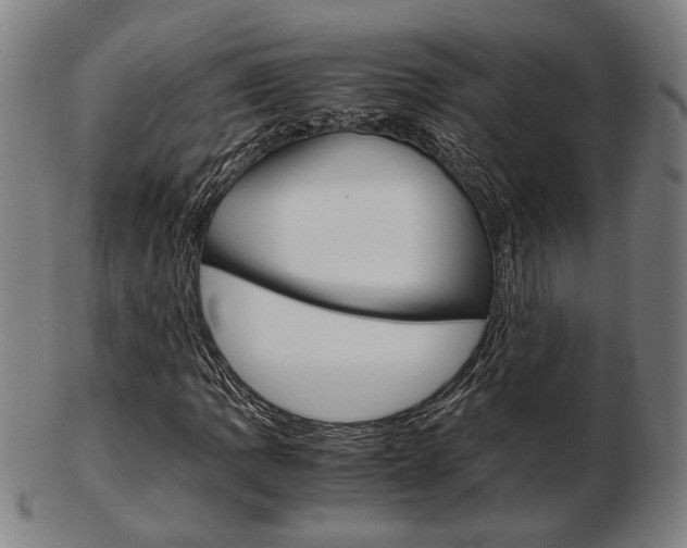 X0000103481109200809120922