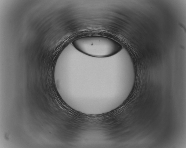 X0000103481110200809120922