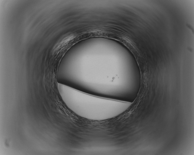 X0000103481111200809120922