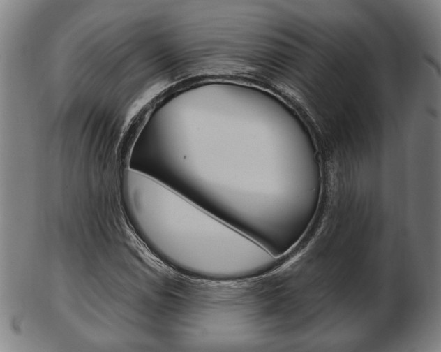 X0000103481114200809120922