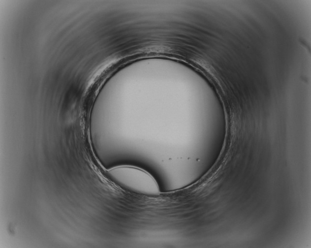 X0000103481115200809120922