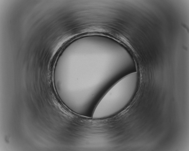 X0000103481116200809120922