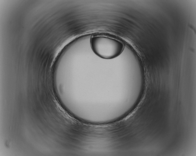 X0000103481118200809120922