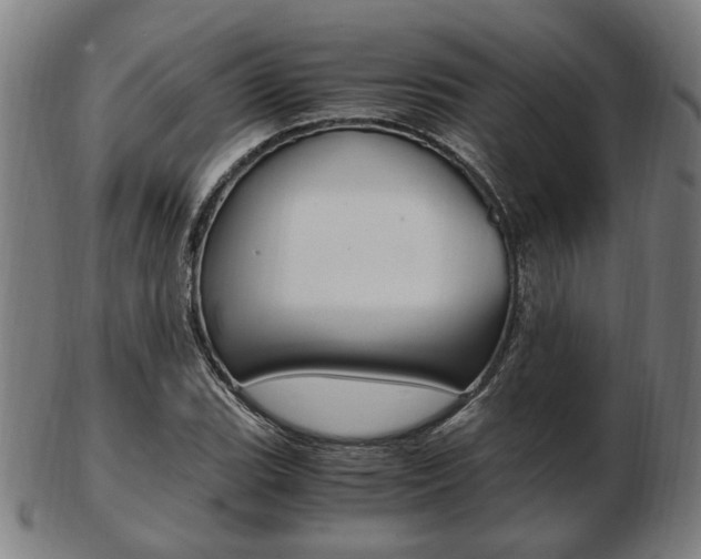 X0000103481119200809120922