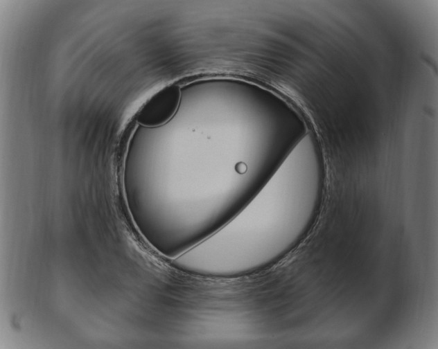X0000103481120200809120922