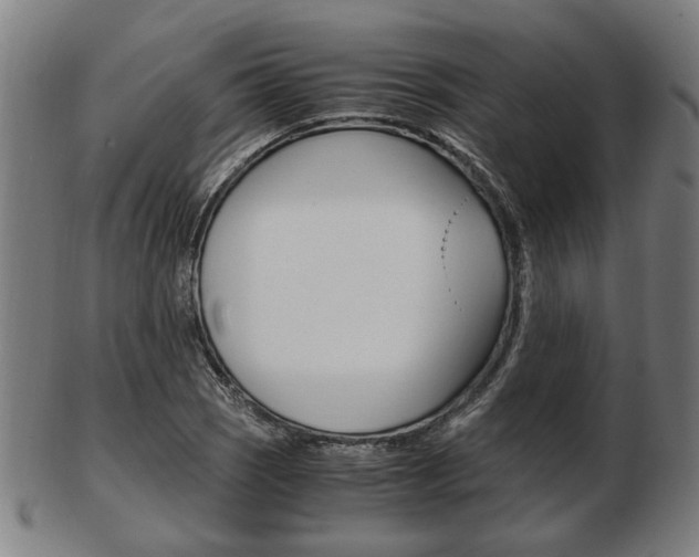 X0000103481121200809120922