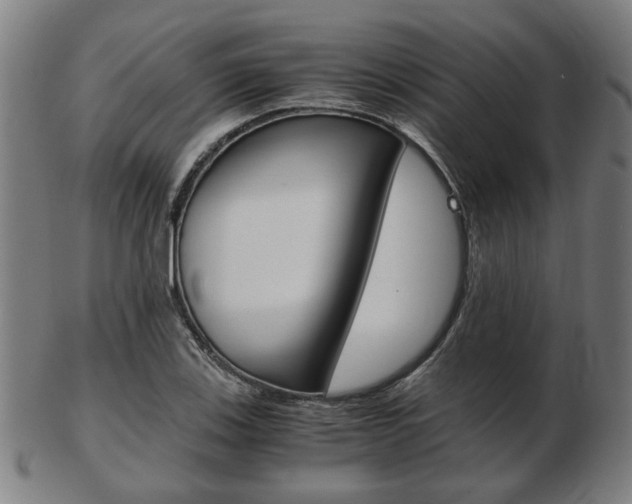X0000103481123200809120922
