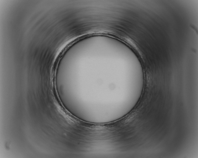 X0000103481124200809120922