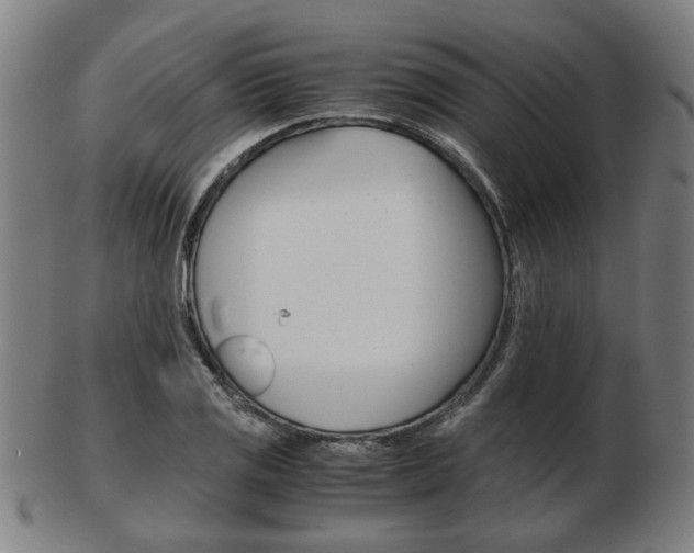 X0000103481125200809120922