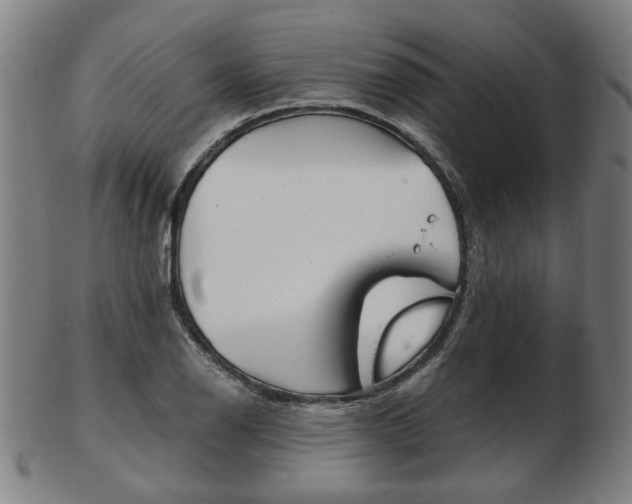 X0000103481126200809120922