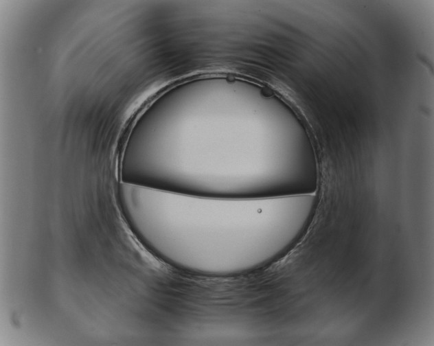 X0000103481127200809120922