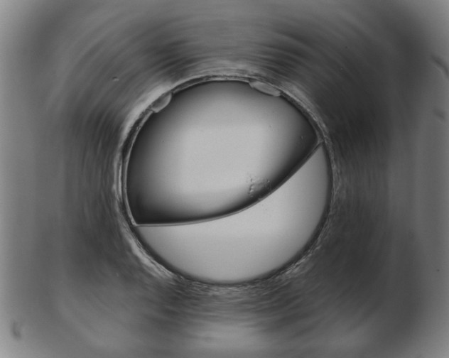 X0000103481128200809120922