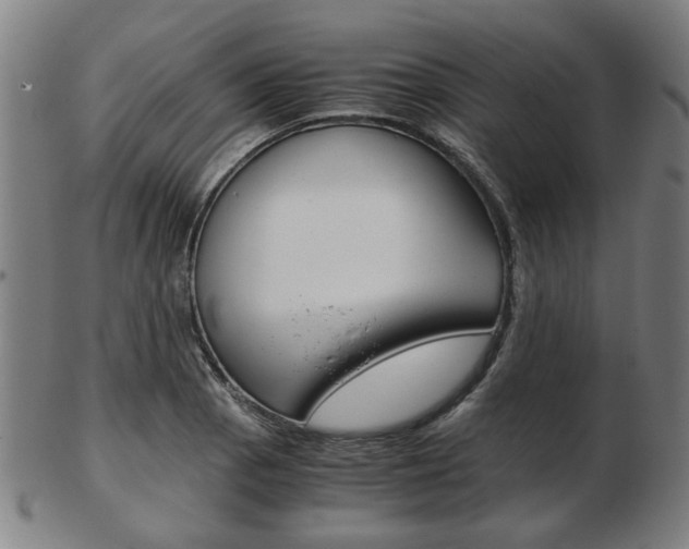 X0000103481129200809120922