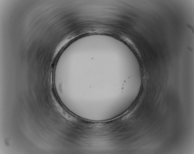 X0000103481130200809120922