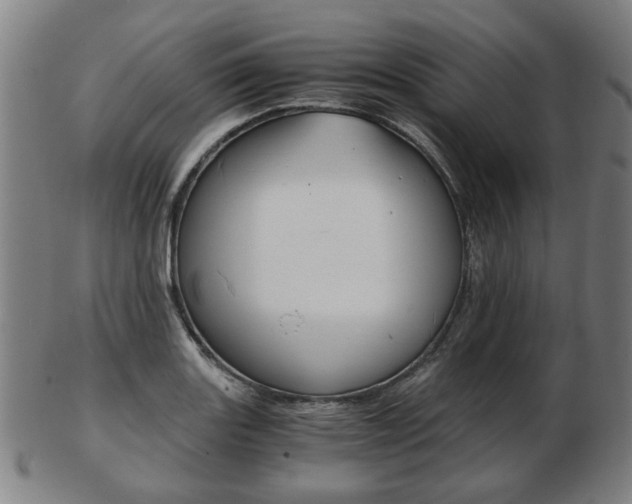 X0000103481131200809120922