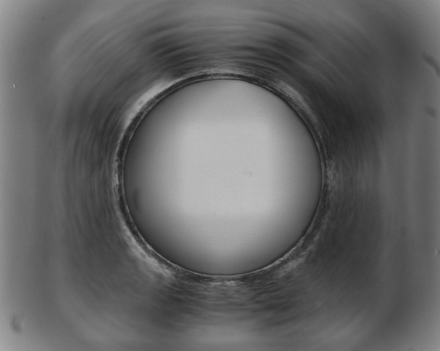 X0000103481133200809120922