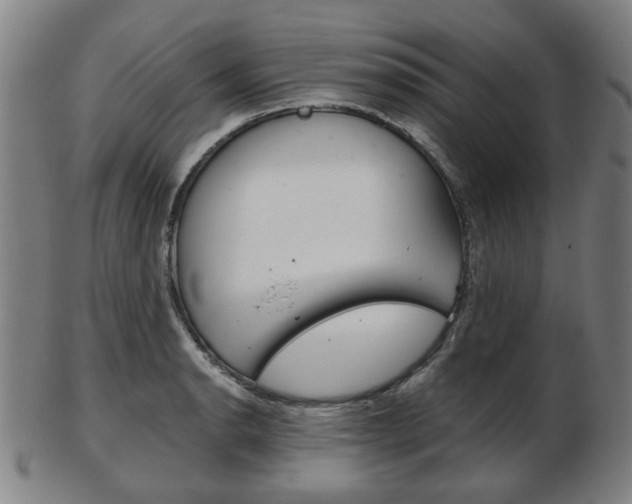 X0000103481134200809120922